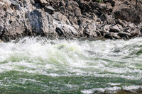 20260808-IMG_2905