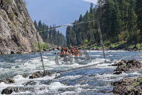 20260808-IMG_3851