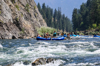 20260808-IMG_4015