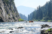20260808-IMG_2318