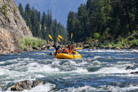 20260808-IMG_4809