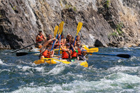 20260808-IMG_4918