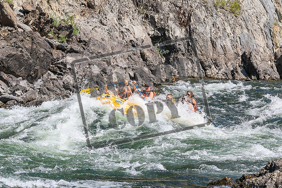 20260808-IMG_4931