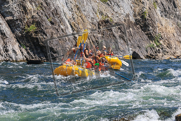 20260808-IMG_4919