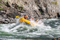 20260808-IMG_4932