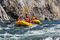 20260808-IMG_4920
