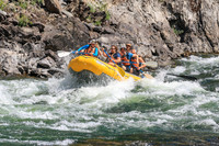 Raft 7