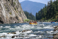 20260808-IMG_4971