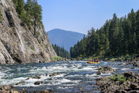 20260808-IMG_4970