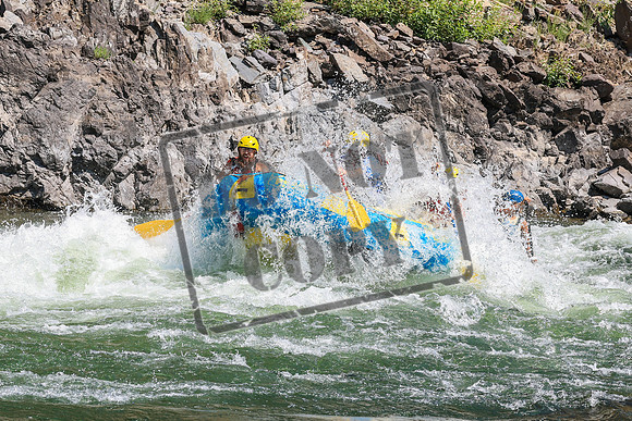 20260808-IMG_4403