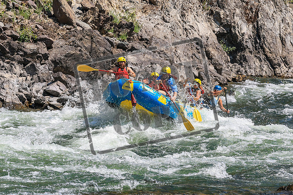 20260808-IMG_4398