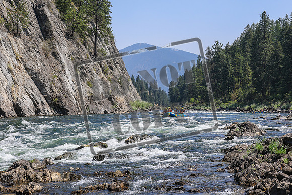 20260808-IMG_4389