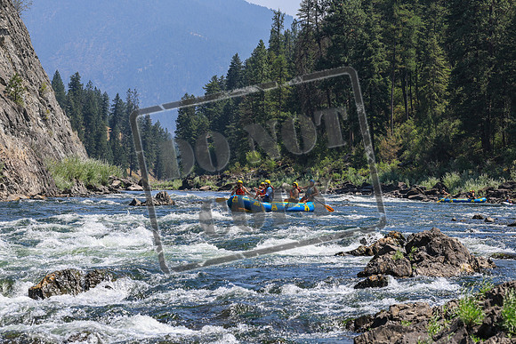 20260808-IMG_4387