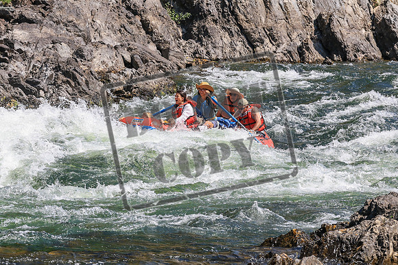 20260808-IMG_4594