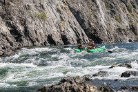 20260808-IMG_3437