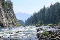 20260808-IMG_2702