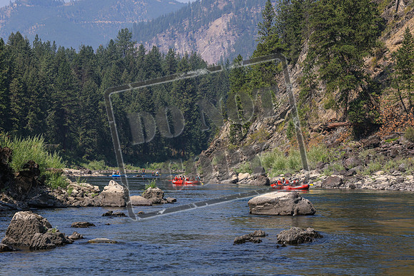 20260808-IMG_2801
