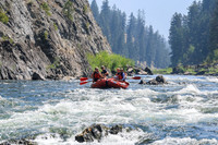 20260808-IMG_2739