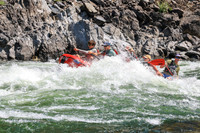 20260808-IMG_2789