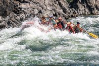20260808-IMG_2784