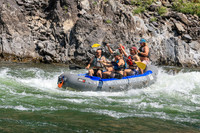 20260808-IMG_4247
