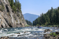 20260808-IMG_4318