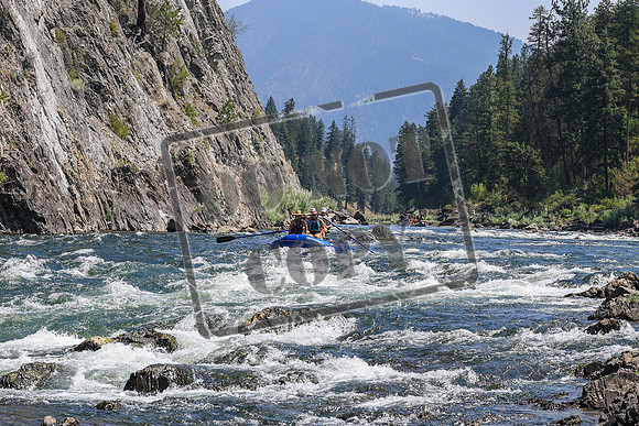 20260808-IMG_4322