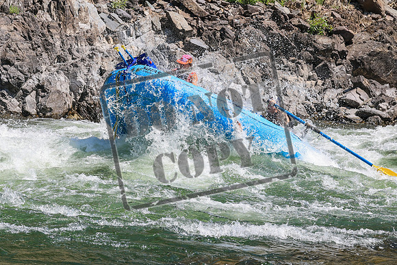 20260808-IMG_3984