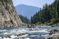 20260808-IMG_4208