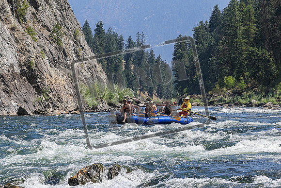 20260808-IMG_4209