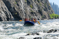 20260808-IMG_2239