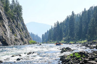 20260808-IMG_2234