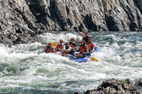 20260808-IMG_2246