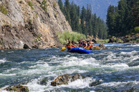 20260808-IMG_5529