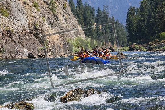 20260808-IMG_5529