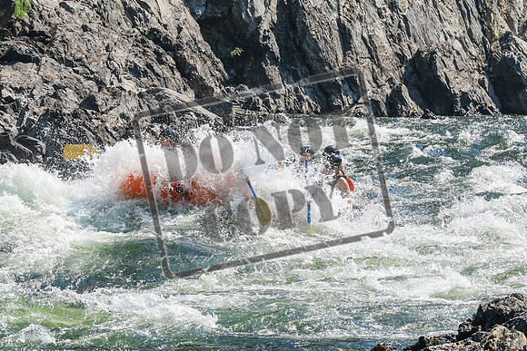 20260808-IMG_1959