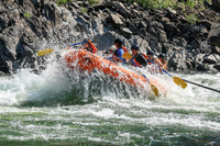 20260808-IMG_1965