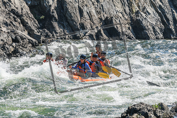 20260808-IMG_1958