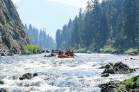 20260808-IMG_1989