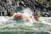 20260808-IMG_2005