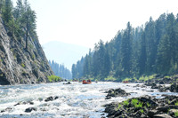 20260808-IMG_1945