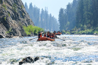20260808-IMG_1990