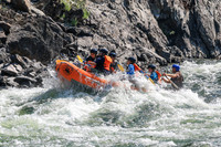 20260808-IMG_2049