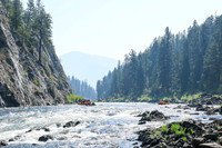 20260808-IMG_2022