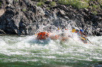 20260808-IMG_2055