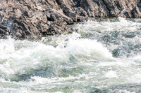 20260809-IMG_6718