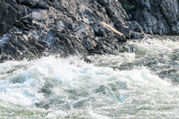 20260809-IMG_6240
