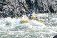 20260809-IMG_6362