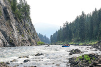 Raft 4