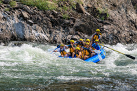 20260809-IMG_7225